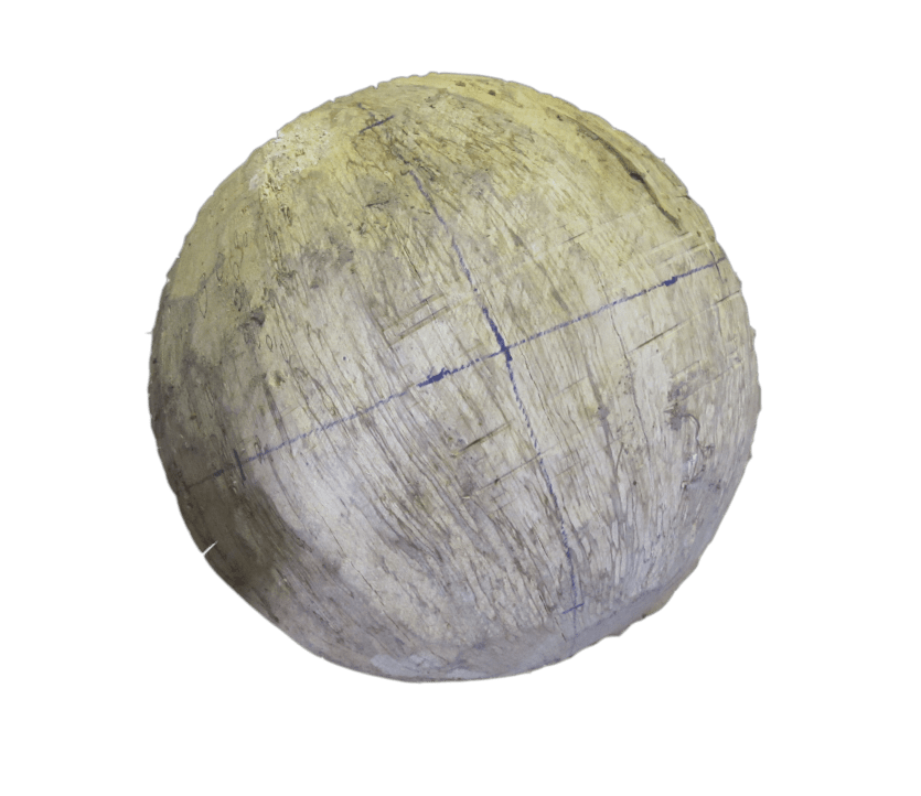 Eiche 60cm in Arbeit